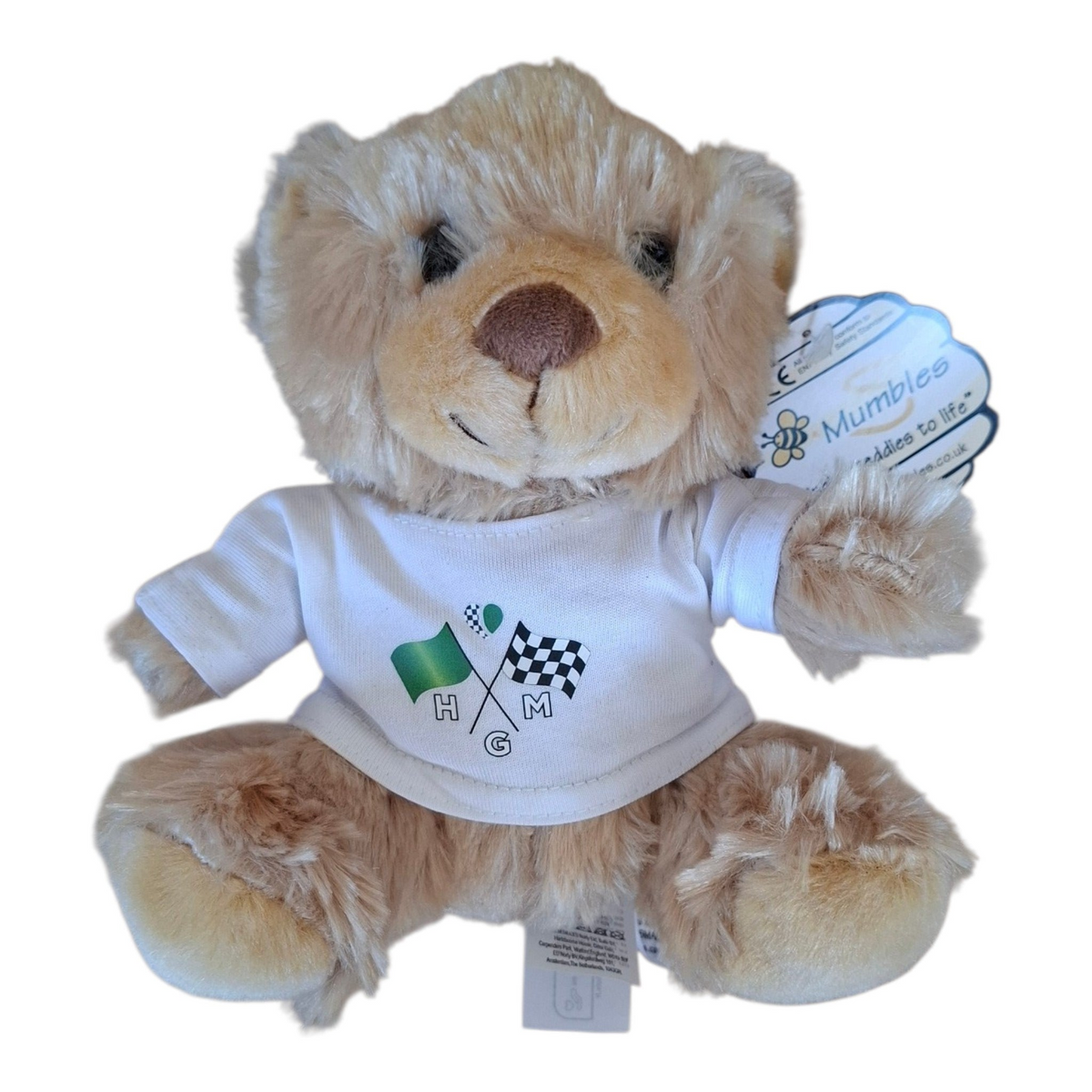 Teddy with removable Tshirt