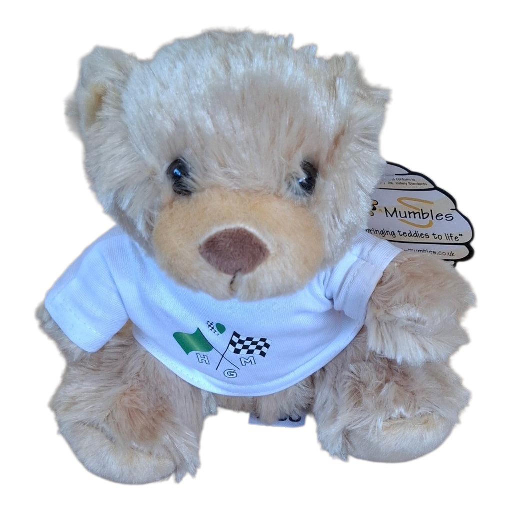 Teddy with removable Tshirt